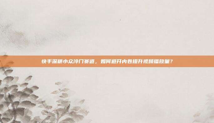 快手深耕小众冷门赛道，如何避开内卷提升视频播放量？