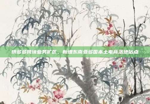 拼多多跨境业务扩区，新增东南亚多国本土电商落地站点
