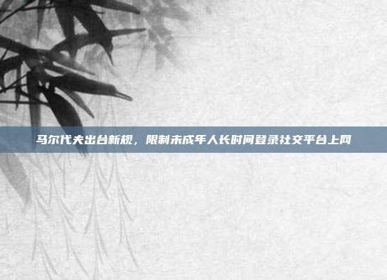 马尔代夫出台新规，限制未成年人长时间登录社交平台上网