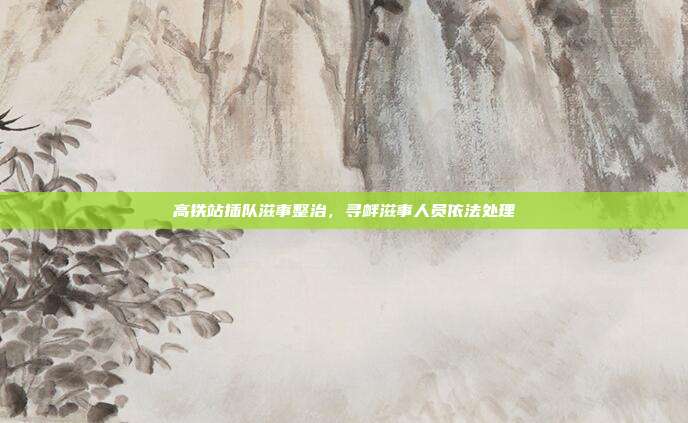 高铁站插队滋事整治，寻衅滋事人员依法处理