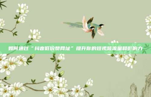 如何通过“抖音低价赞网址”提升你的短视频流量和影响力