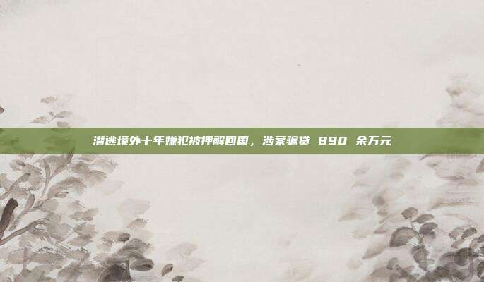 潜逃境外十年嫌犯被押解回国,涉案骗贷 890 余万元