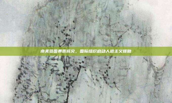 南美多国暴雨成灾，国际组织启动人道主义援助