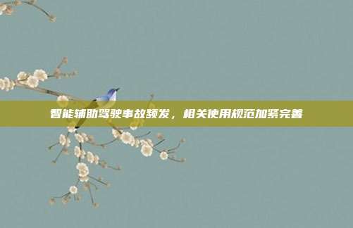 智能辅助驾驶事故频发,相关使用规范加紧完善