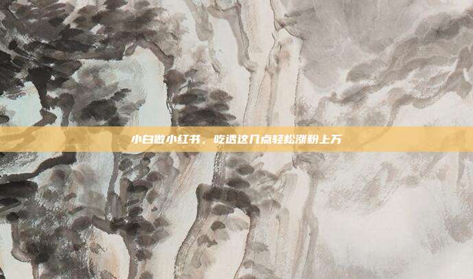 小白做小红书，吃透这几点轻松涨粉上万