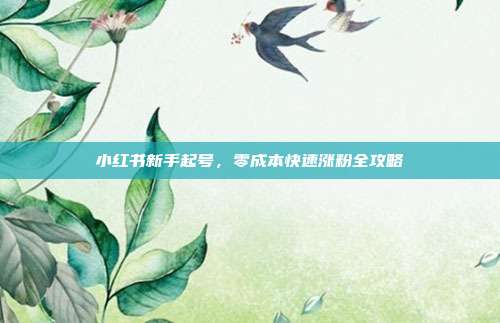 小红书新手起号，零成本快速涨粉全攻略
