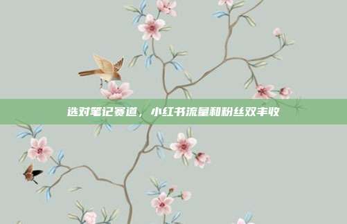 选对笔记赛道,小红书流量和粉丝双丰收