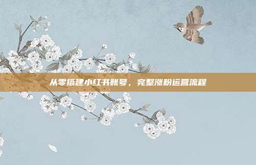 从零搭建小红书账号,完整涨粉运营流程