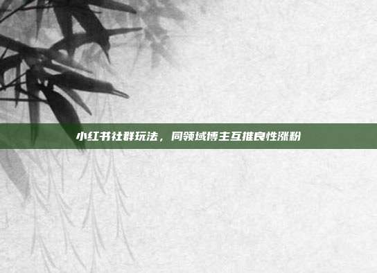 小红书社群玩法,同领域博主互推良性涨粉