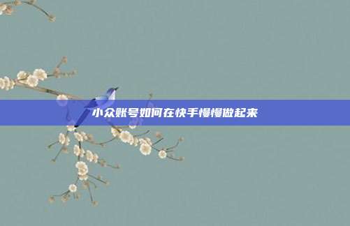 小众账号如何在快手慢慢做起来