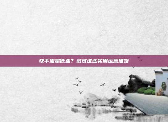 快手流量低迷?试试这些实用运营思路
