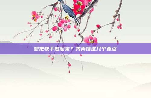 想把快手做起来？先弄懂这几个要点
