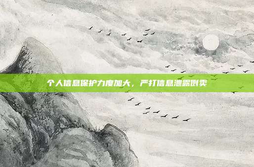 个人信息保护力度加大，严打信息泄露倒卖