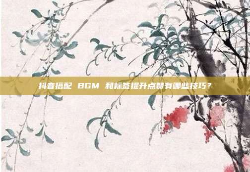 抖音搭配 BGM 和标签提升点赞有哪些技巧？