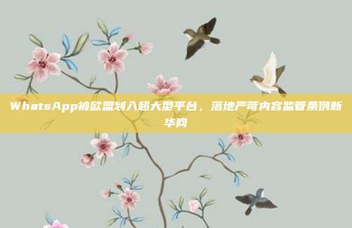 WhatsApp被欧盟划入超大型平台，落地严苛内容监管条例新华网