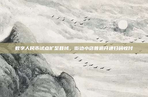 数字人民币试点扩至县域，街边小店普遍开通扫码收付