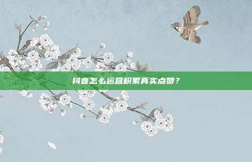 抖音怎么运营积累真实点赞？