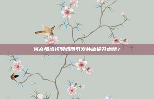 抖音情感视频如何引发共鸣提升点赞?