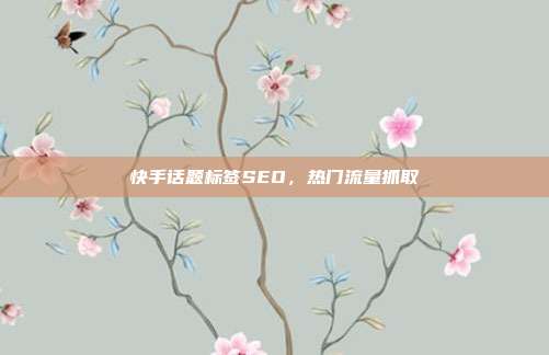 快手话题标签SEO，热门流量抓取