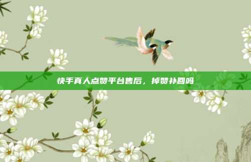 快手真人点赞平台售后,掉赞补回吗