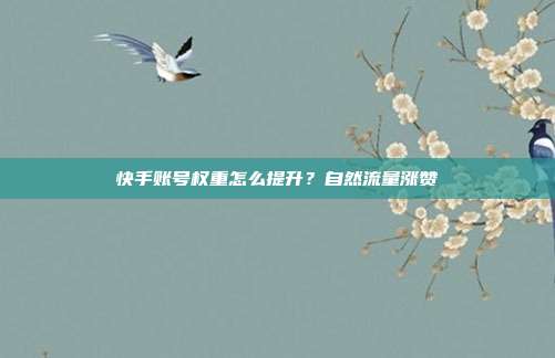 快手账号权重怎么提升?自然流量涨赞