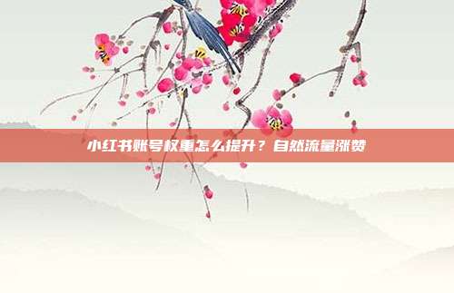 小红书账号权重怎么提升?自然流量涨赞