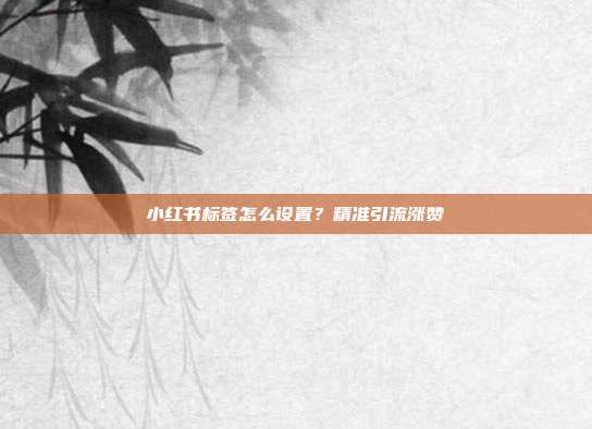 小红书标签怎么设置?精准引流涨赞