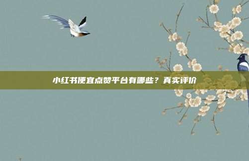 小红书便宜点赞平台有哪些?真实评价