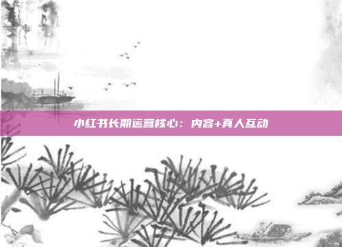 小红书长期运营核心:内容+真人互动