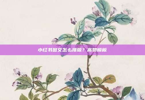 小红书图文怎么排版?高赞模板