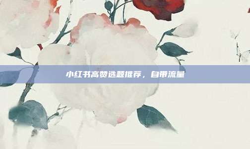 小红书高赞选题推荐,自带流量