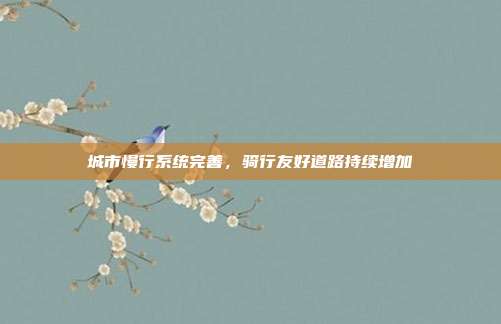 城市慢行系统完善，骑行友好道路持续增加