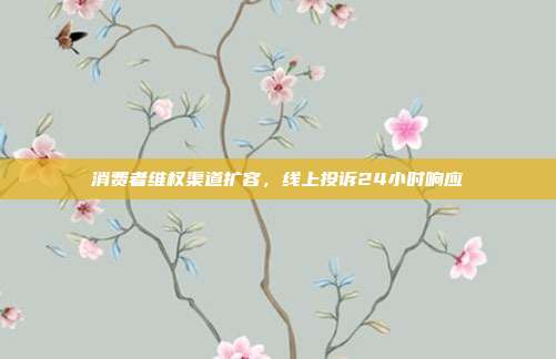 消费者维权渠道扩容,线上投诉24小时响应