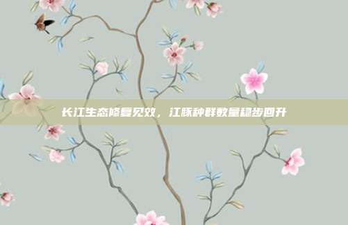 长江生态修复见效,江豚种群数量稳步回升
