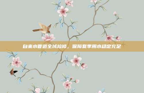 自来水管道全域检修,保障夏季用水稳定充足