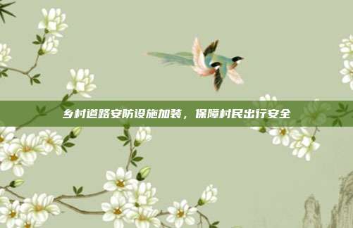 乡村道路安防设施加装,保障村民出行安全