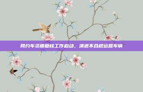 网约车资质复核工作启动,清退不合规运营车辆