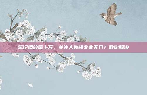 笔记播放量上万,关注人数却寥寥无几?教你解决