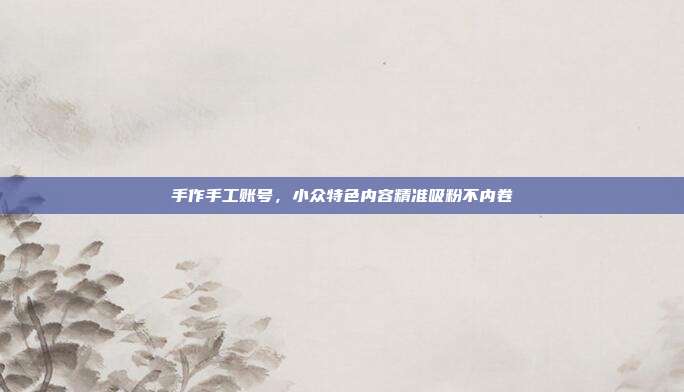 手作手工账号，小众特色内容精准吸粉不内卷