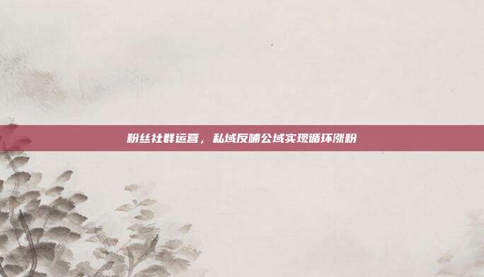 粉丝社群运营,私域反哺公域实现循环涨粉