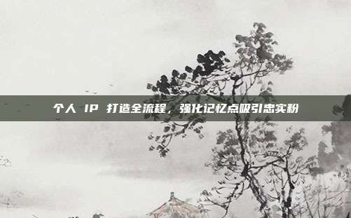 个人 IP 打造全流程,强化记忆点吸引忠实粉