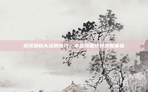 短视频镜头运用技巧,丰富画面提升观看体验
