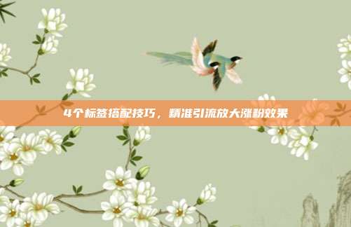 4个标签搭配技巧,精准引流放大涨粉效果