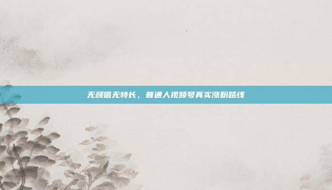 无颜值无特长,普通人视频号真实涨粉路线