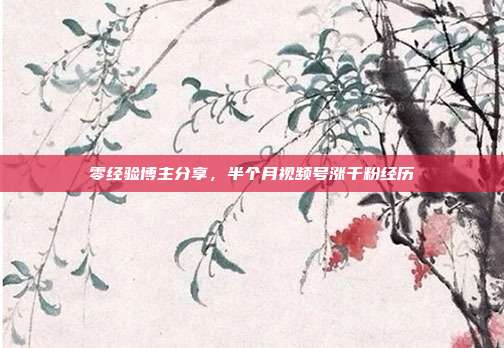 零经验博主分享,半个月视频号涨千粉经历