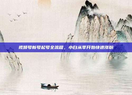 视频号新号起号全流程,小白从零开始快速涨粉