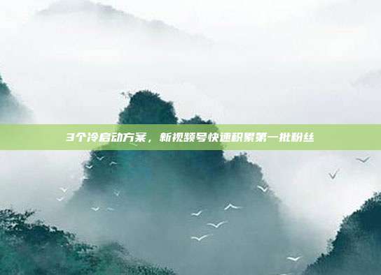 3个冷启动方案,新视频号快速积累第一批粉丝