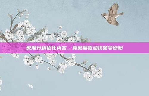 数据分析优化内容,靠数据驱动视频号涨粉
