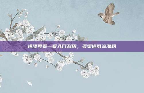 视频号看一看入口利用，多渠道引流涨粉