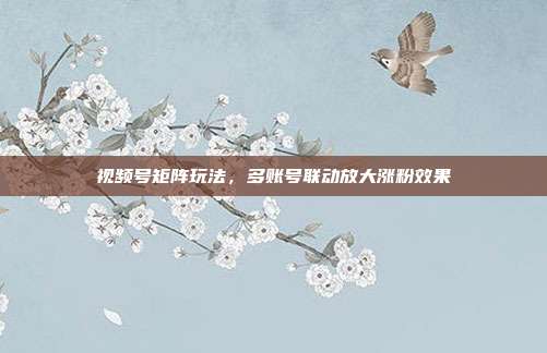 视频号矩阵玩法,多账号联动放大涨粉效果